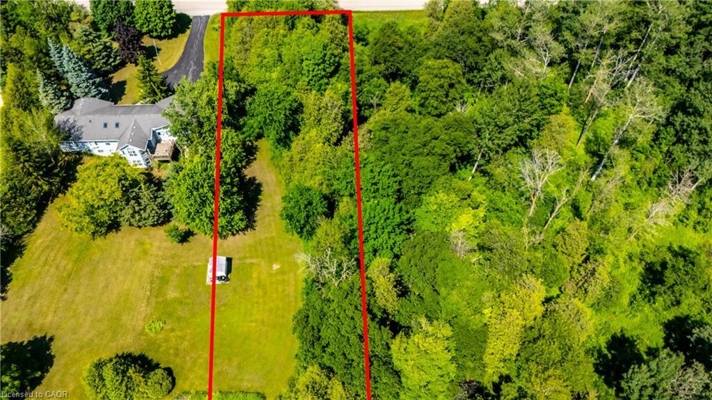 Expansive wooded lot featuring mature trees and lush green foliage
