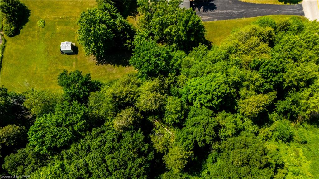 Expansive green space featuring a large wooded area and a manicured lawn