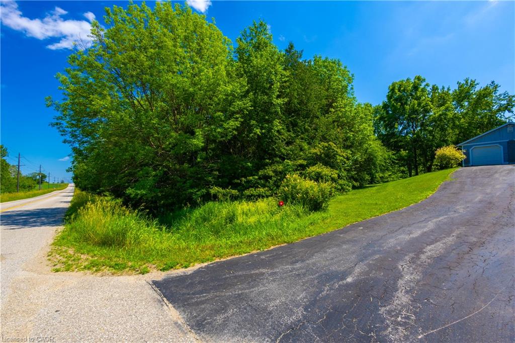 Paved driveway leading to a detached blue structure with a white garage door, surrounded by mature trees and a grassy slope
