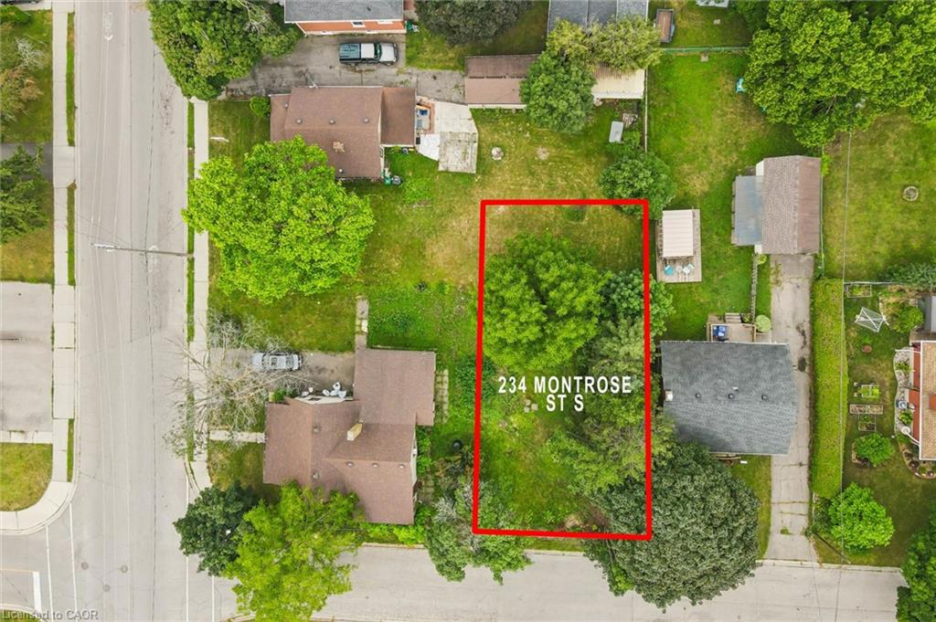 Expansive lot at 234 Montrose featuring mature landscaping and lush greenery throughout
