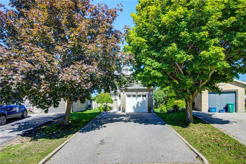 Paved driveway with curbing, mature trees, and a landscaped front yard