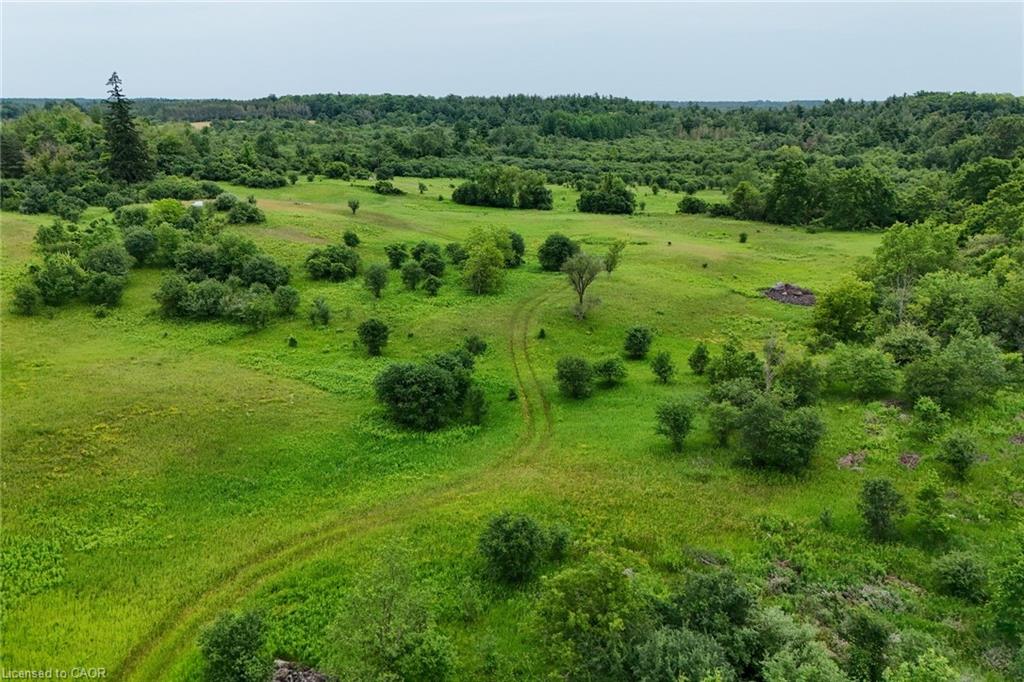 Expansive green landscape featuring mature trees and established vegetation