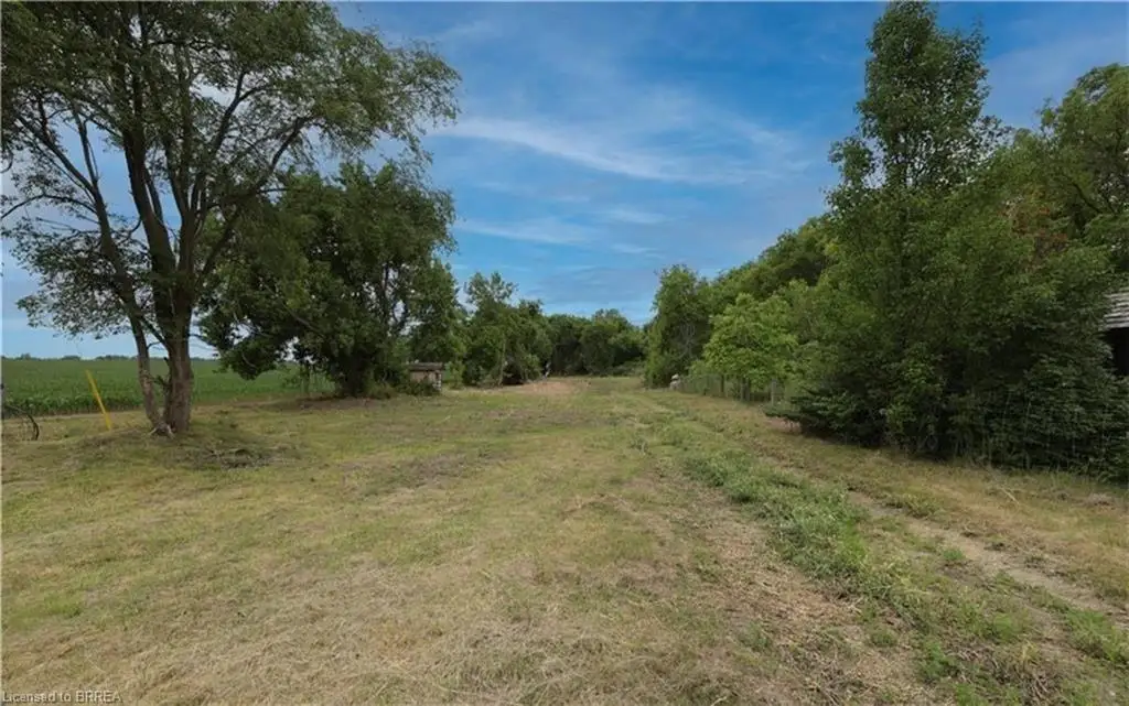 View of local wilderness featuring a rural view