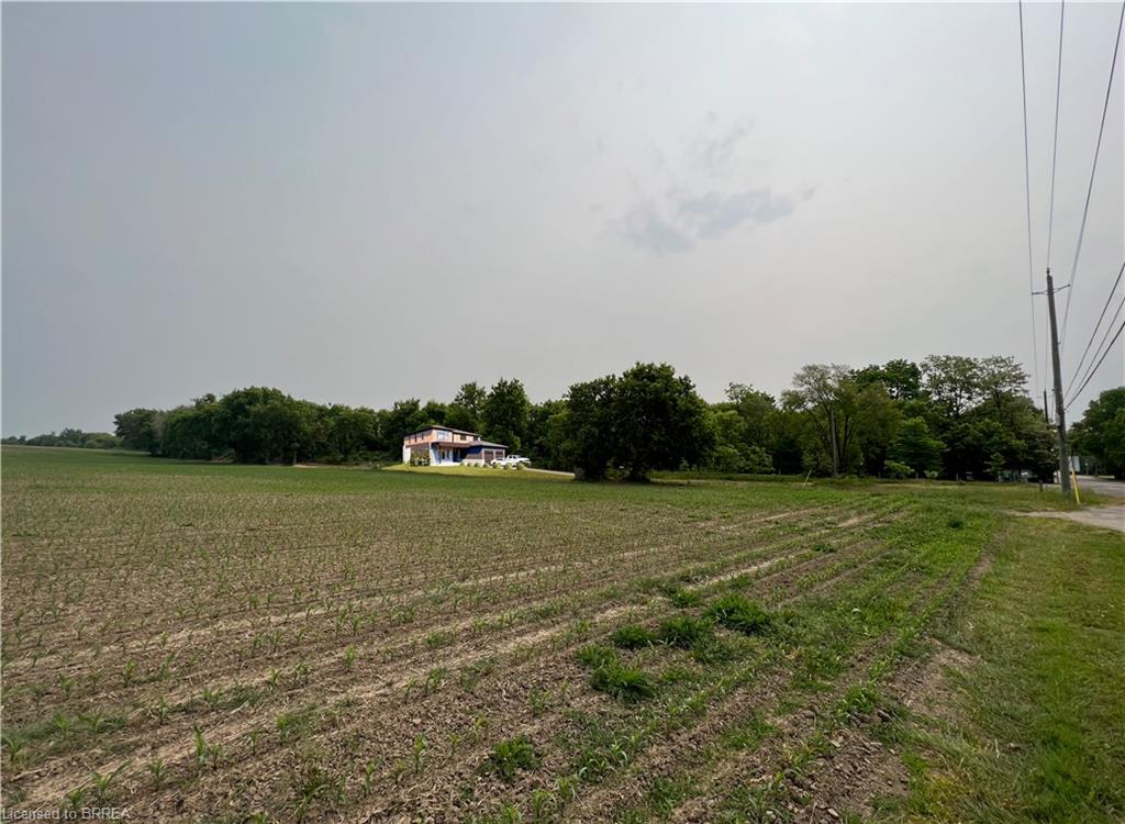 View of yard with a rural view