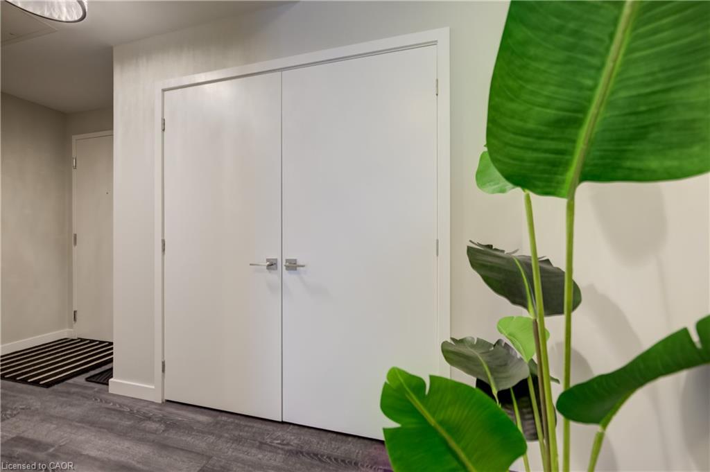 Unit entrance from building foyer with Calfornia closet
