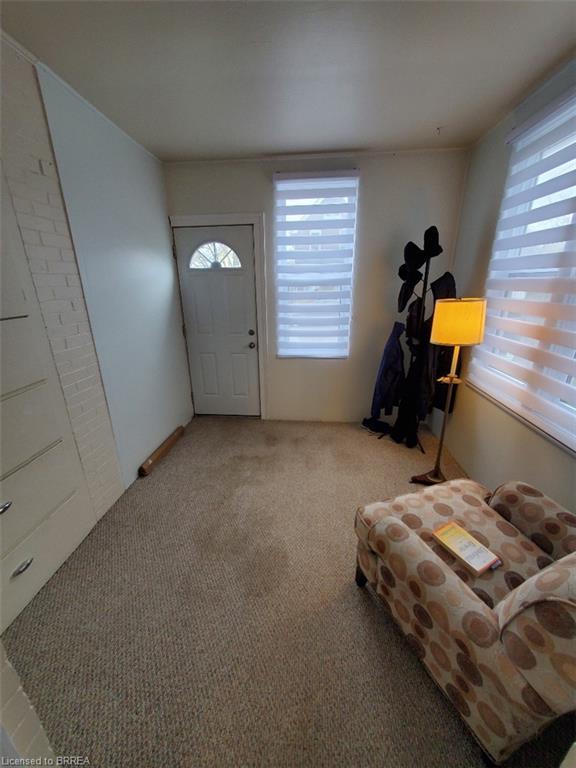 lower unit