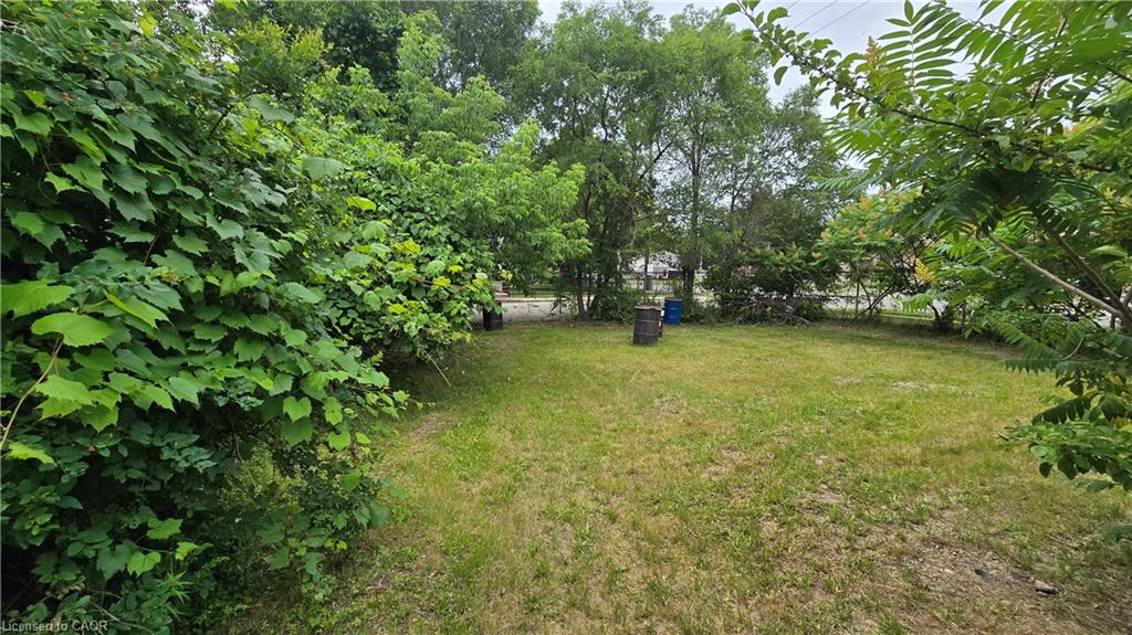 Expansive green lawn surrounded by mature trees and varied foliage, providing natural screening