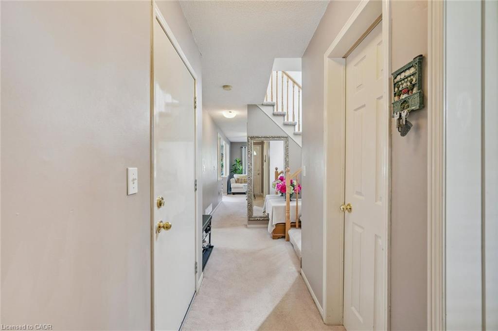 Hallway with light-toned walls and carpeted flooring