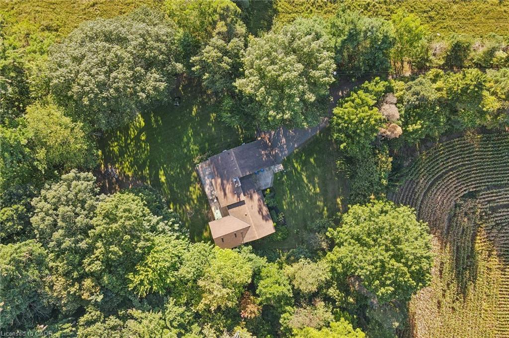 Expansive property featuring a brown shingle roof, surrounded by mature trees, and a field with a distinctive curved pattern