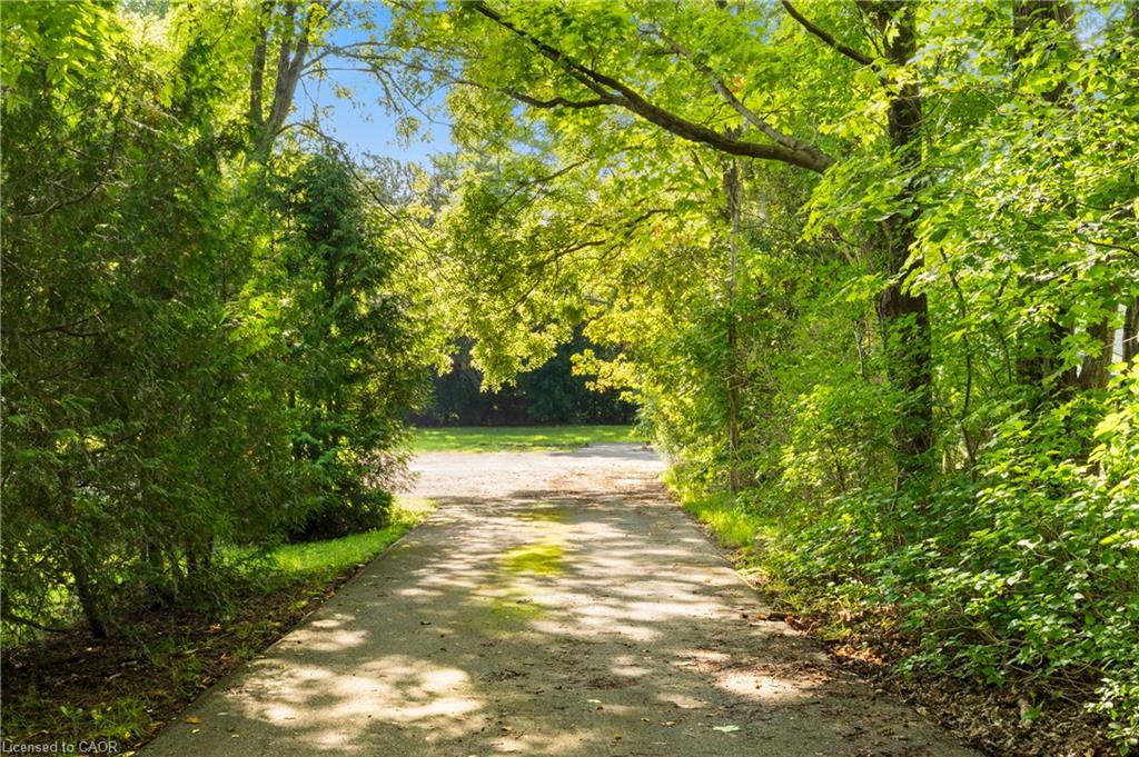 Paved driveway with abundant perimeter foliage and mature trees