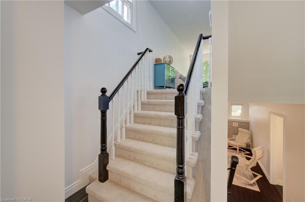 Carpet free except for stairs