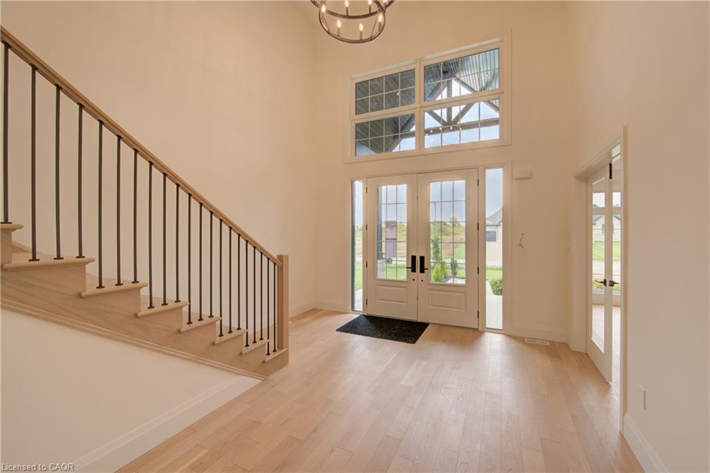 Double-door entryway with transom windows, a high ceiling, and wood-finish flooring