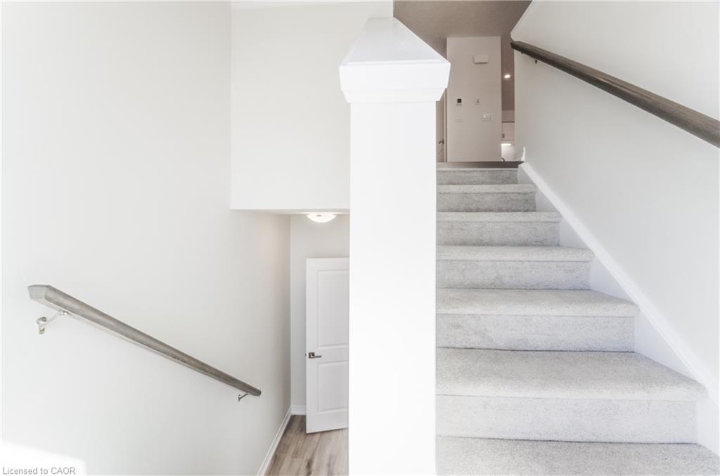 Carpeted staircase with painted risers and a wood-finish handrail