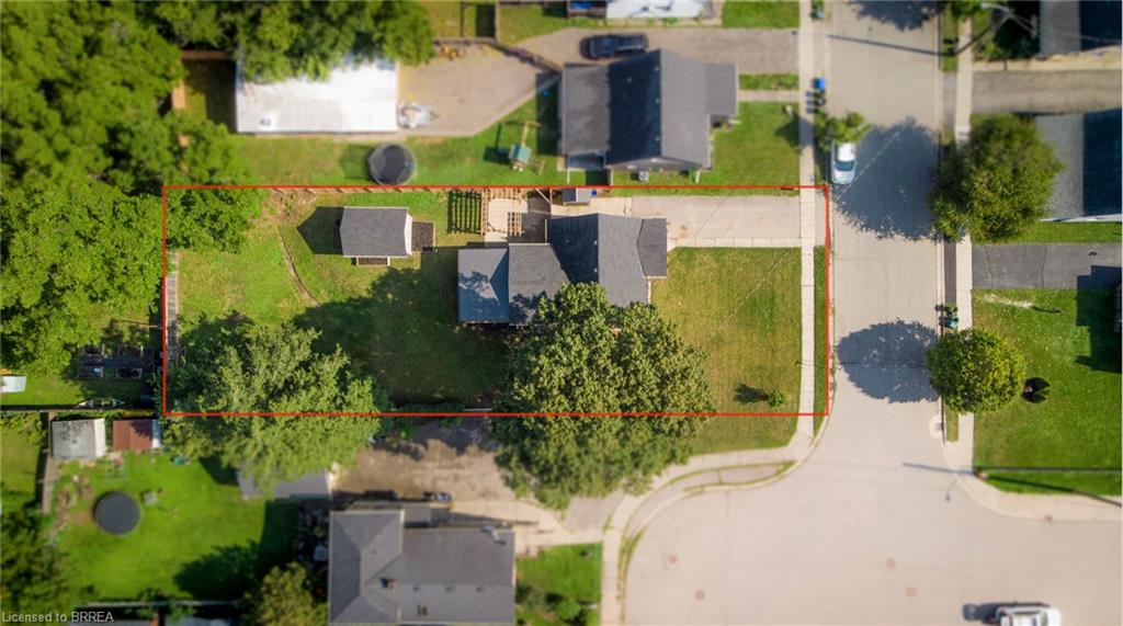 Expansive corner lot featuring a detached residential structure, concrete driveway, and mature trees
