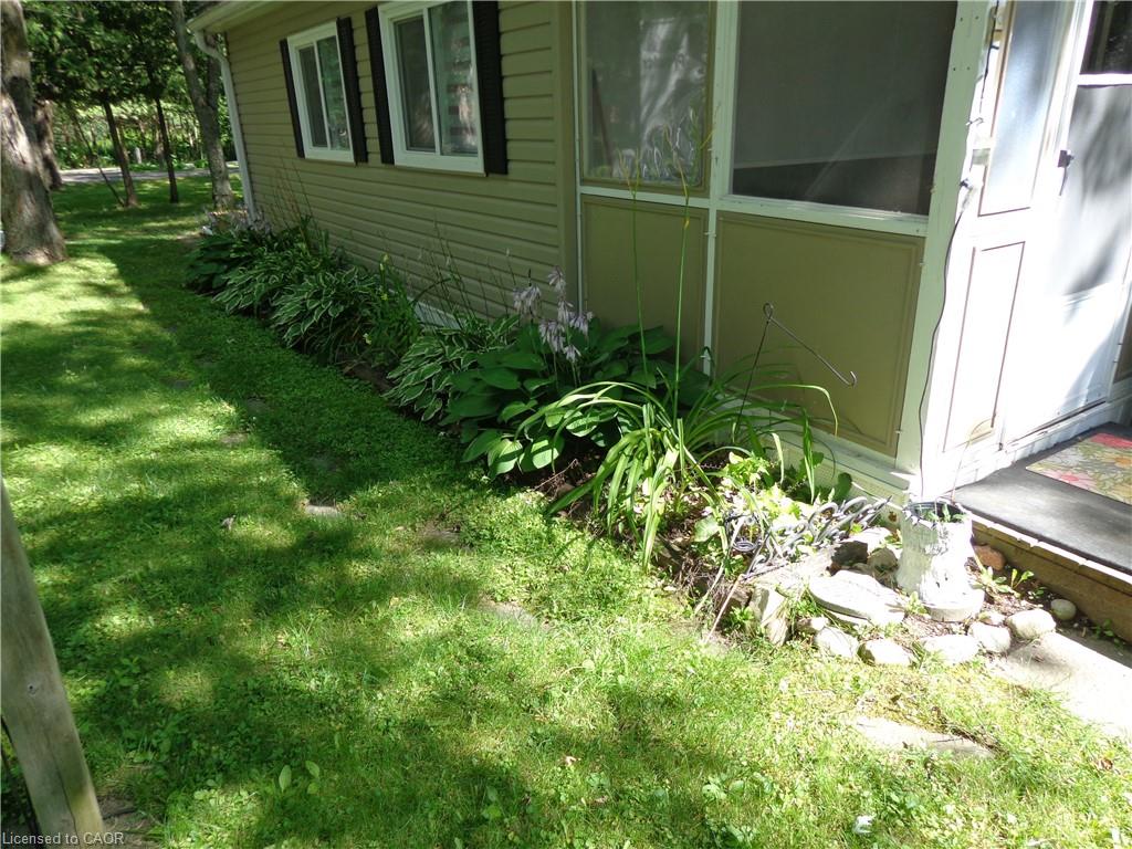 Landscaped Yard