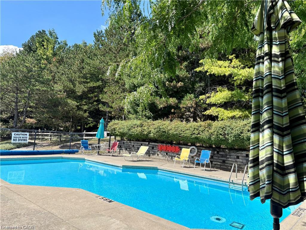 In-ground swimming pool with concrete surround