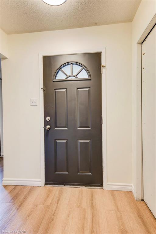 Entry door with an arched transom window, paneled design, and wood-finish flooring