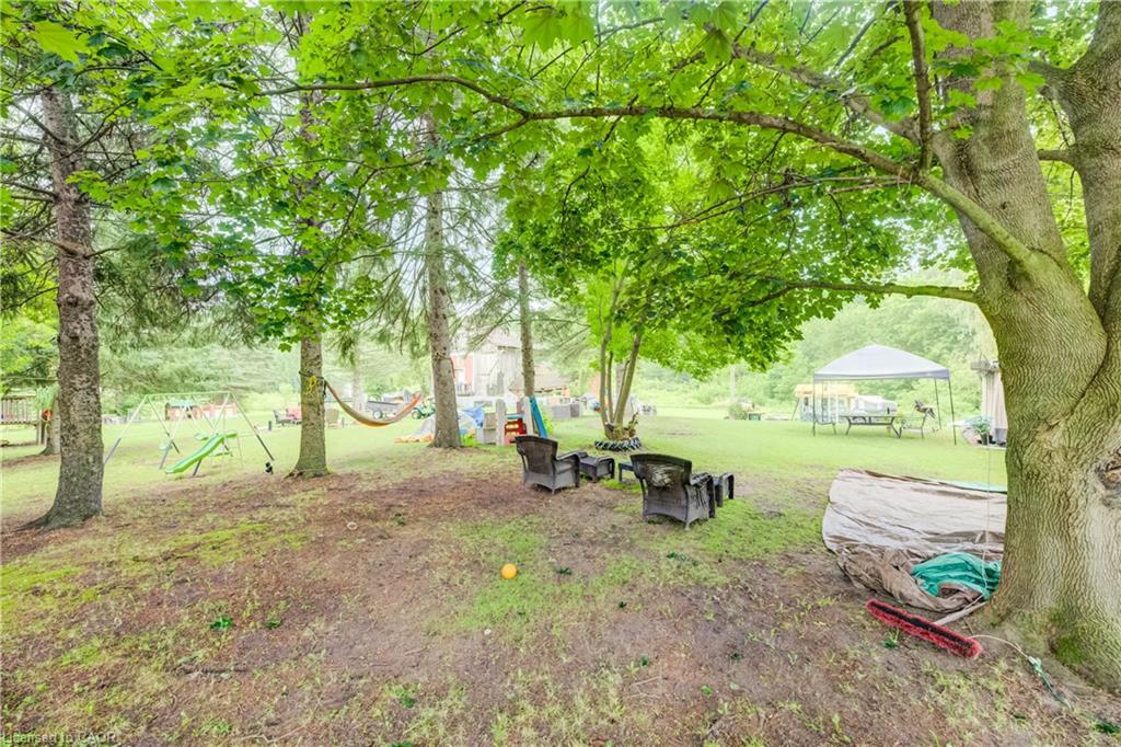 Expansive outdoor space featuring mature trees, a hammock, and a picnic area with a canopy