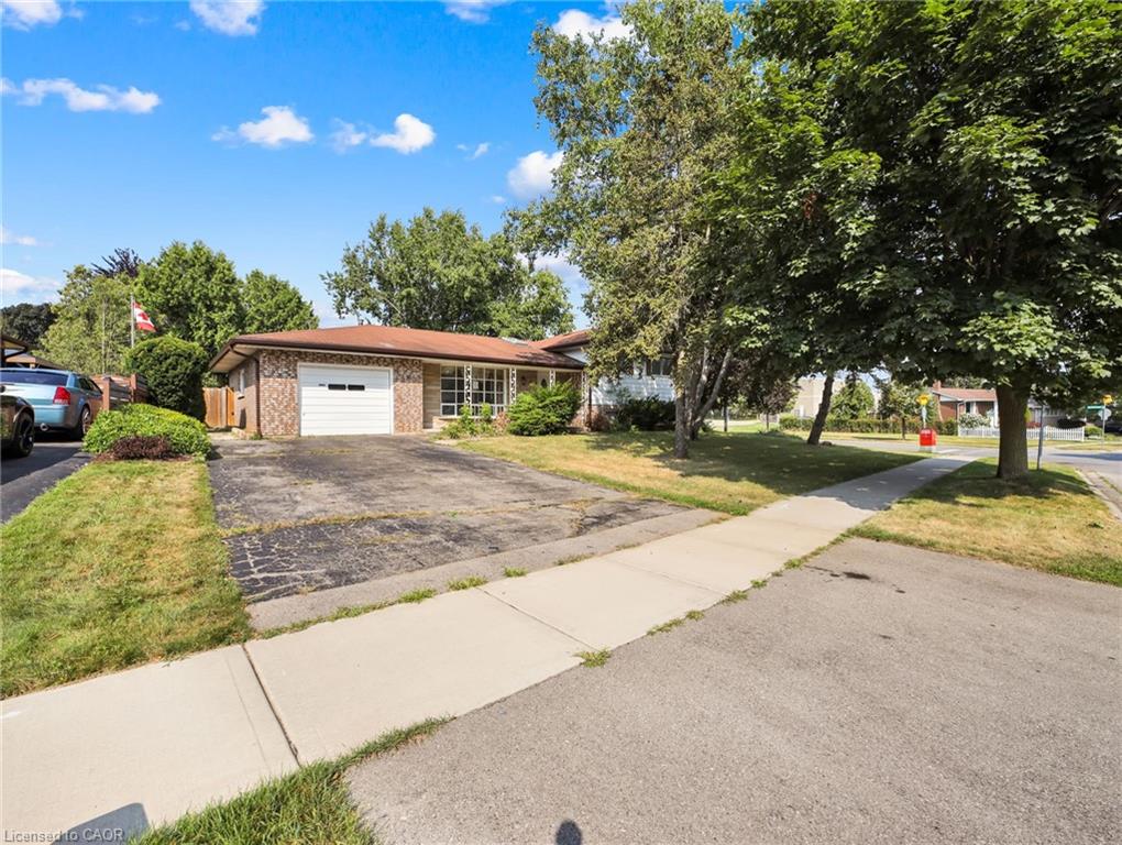Brick exterior ranch-style home featuring an attached garage, mature front yard trees, and a concrete sidewalk