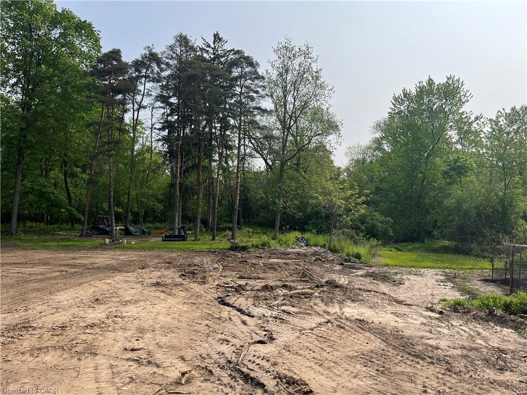16 Mcdougall Road, Waterloo ON N2L 2W5