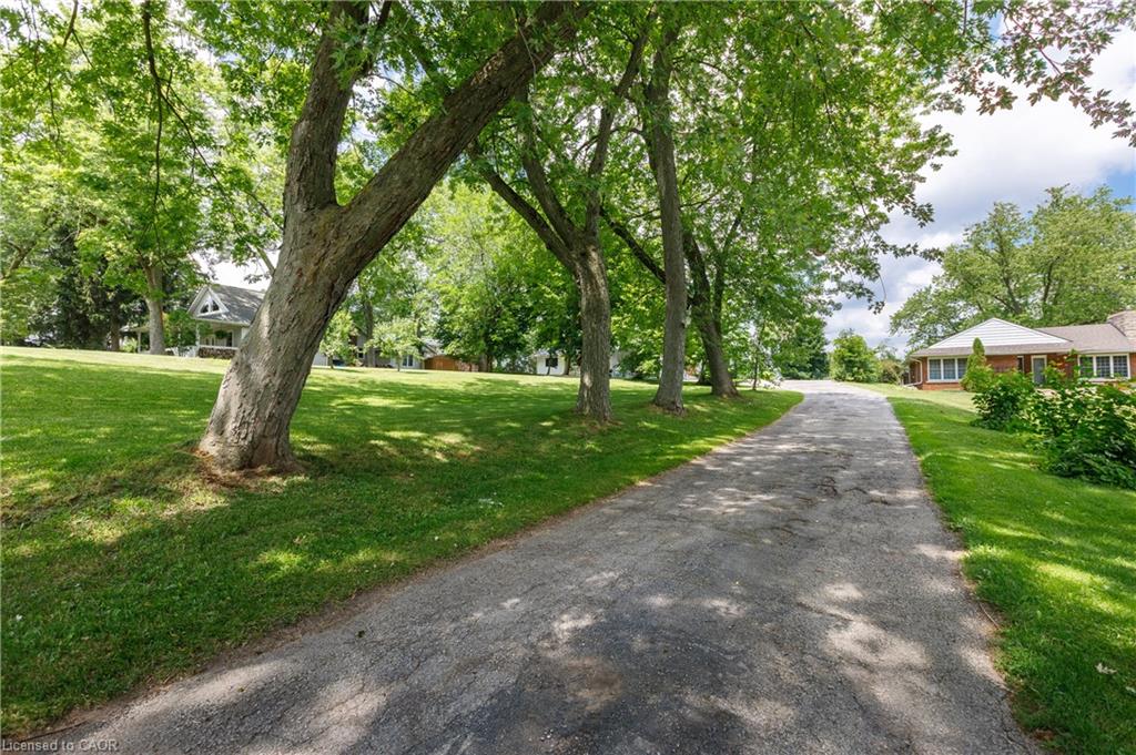 Paved driveway bordered by mature trees and manicured lawns