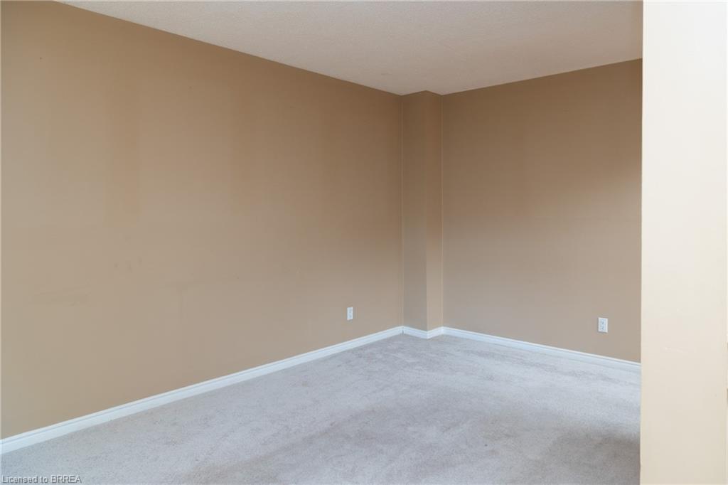 Light gray carpet flooring