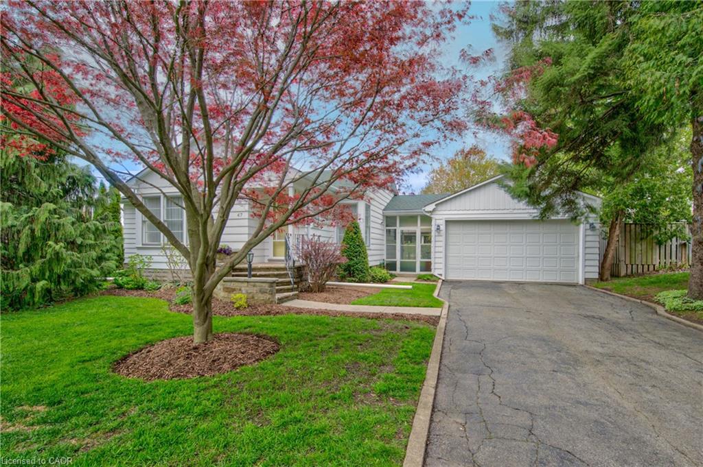 Bungalow with exterior featuring a prominent red-leafed tree, a verdant lawn, a stone walkway, and an attached garage with a paved driveway