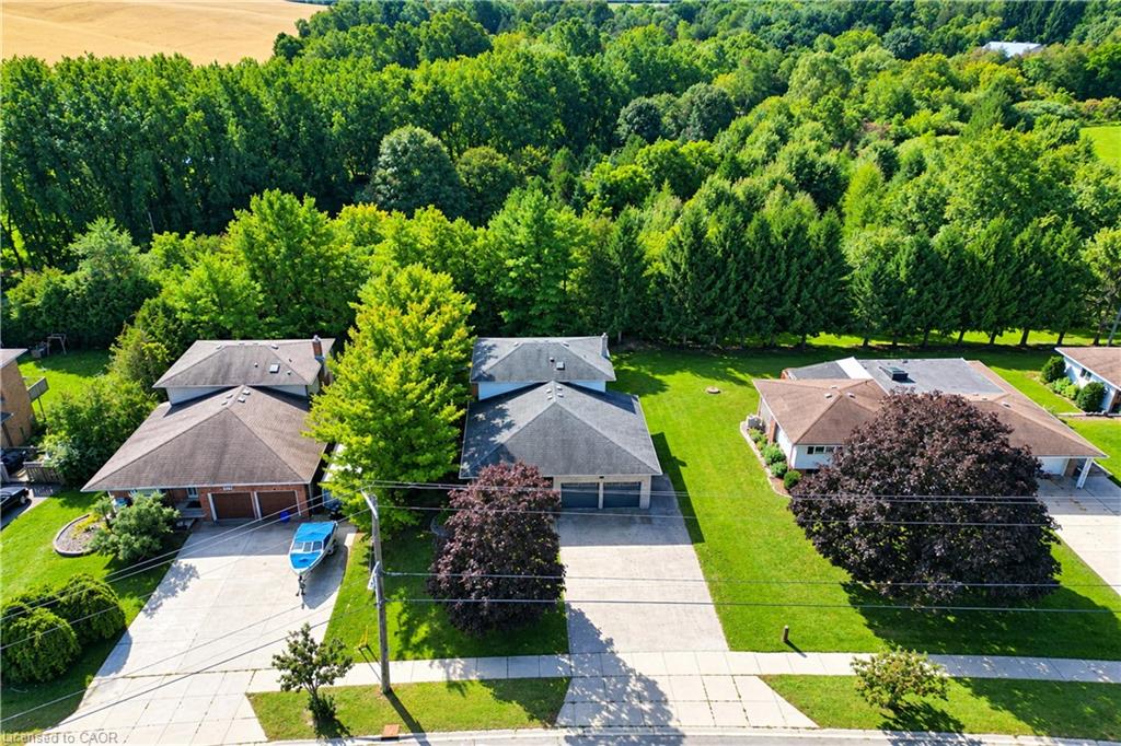 Expansive front lawn, mature trees, concrete driveway, and garage