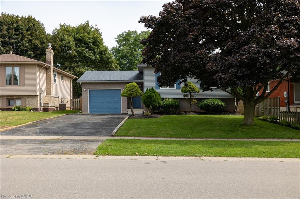 Light blue siding exterior with a contrasting blue garage door, a mature front yard tree, and a paved driveway