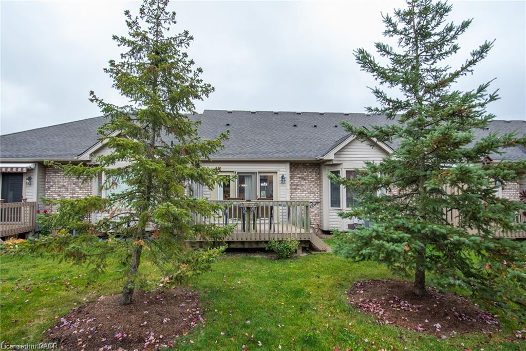Backyard featuring a wood deck, manicured lawn, and mature evergreen trees