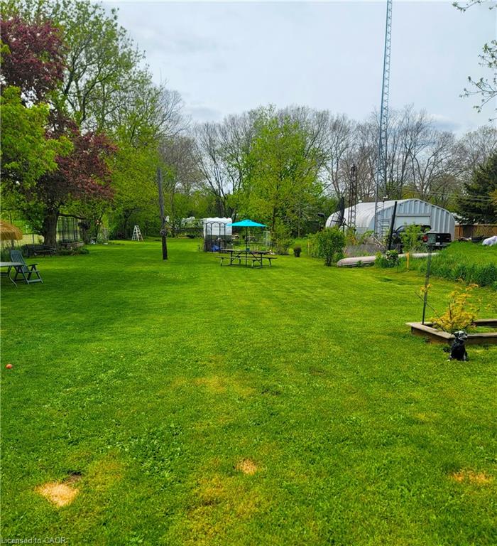 Huge parklike back yard