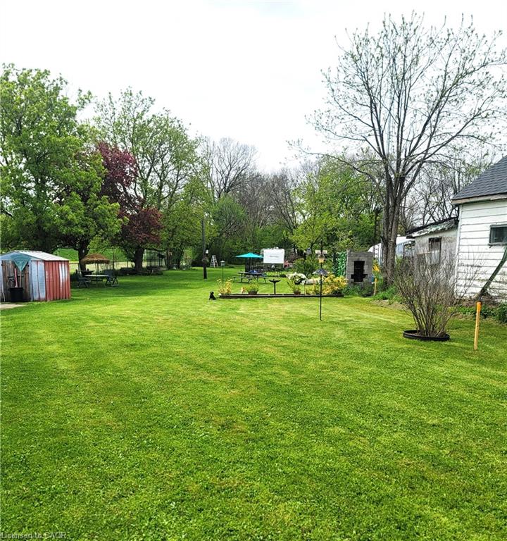 Gorgeous backyard