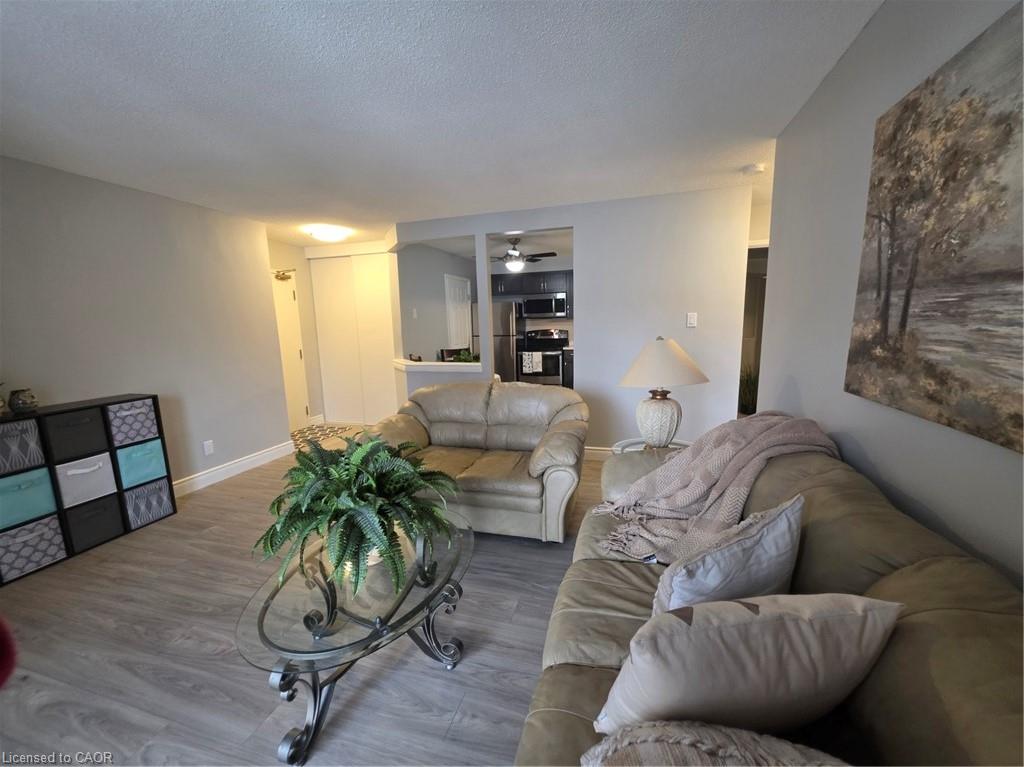 entrance opens to livingroom with a peek-a-boo cut to kitchen