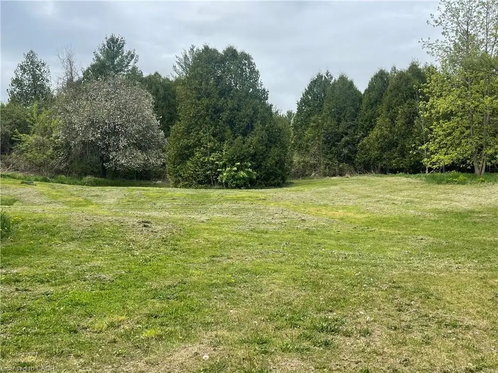 Expansive grassy area featuring mature trees and established perimeter foliage
