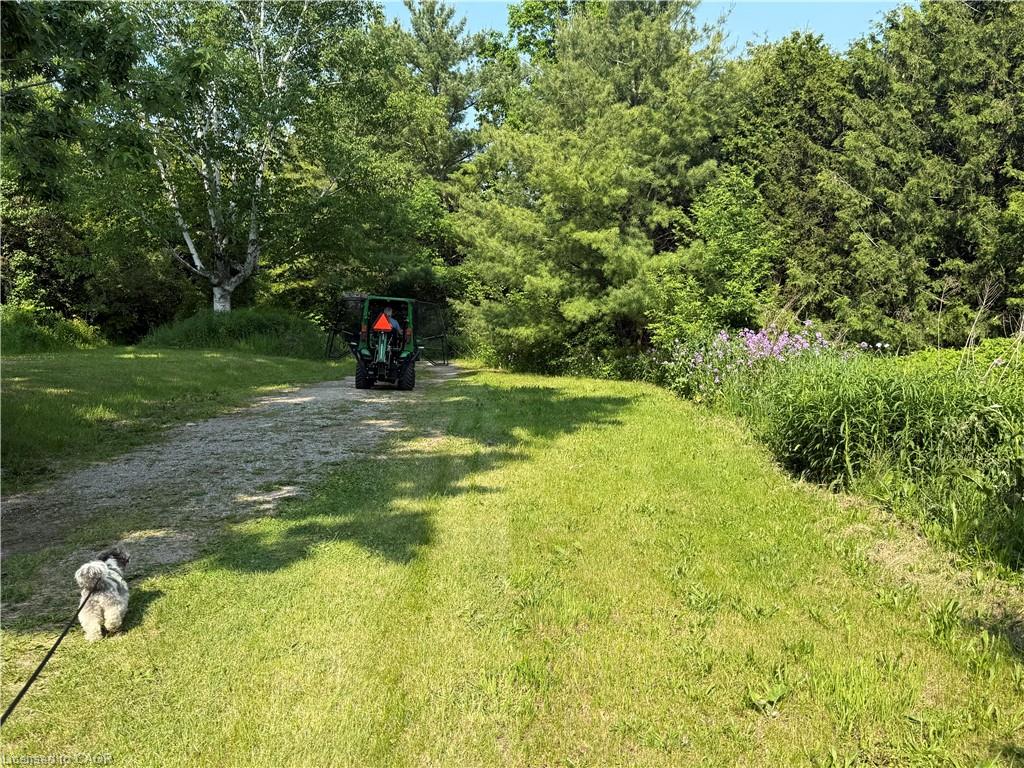Expansive green space featuring a gravel path, mature trees, and natural foliage