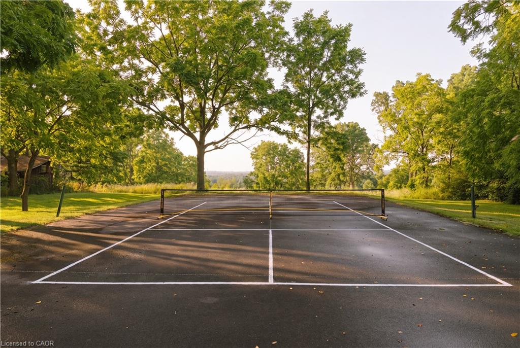 Hardcourt tennis court with defined white lines, surrounded by mature trees and manicured lawn