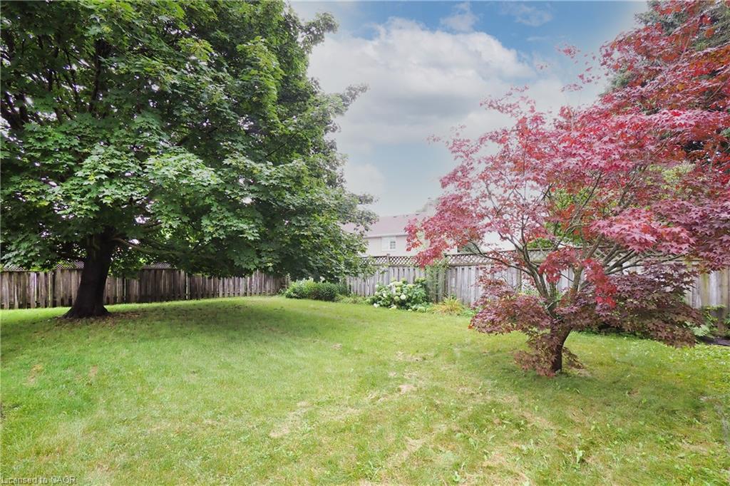 Expansive grassy yard featuring mature trees.