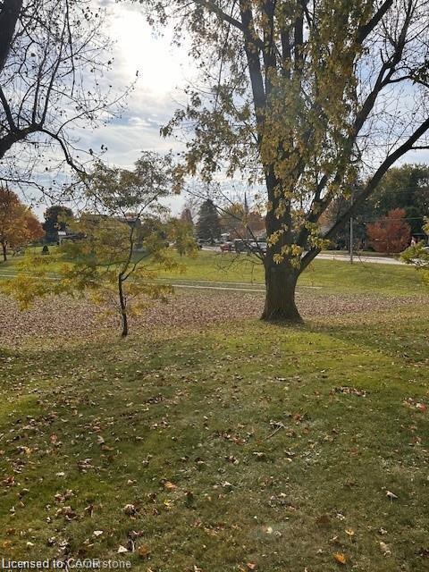 View of green lawn