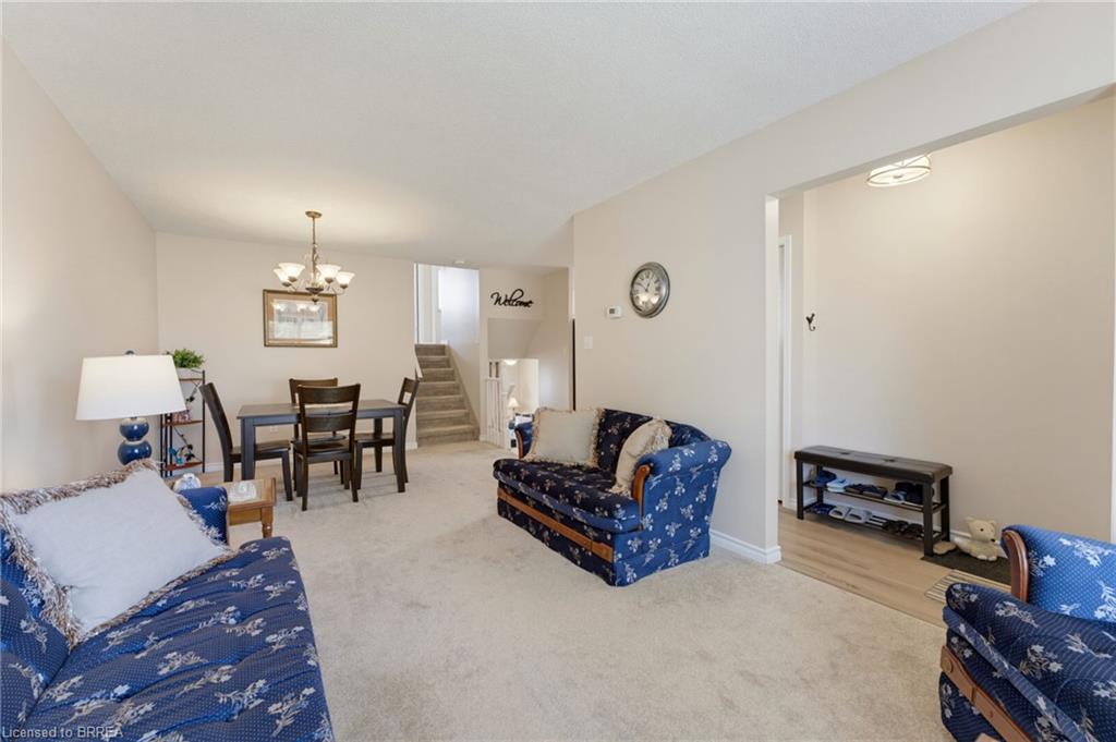 Open-concept living area with carpeted flooring