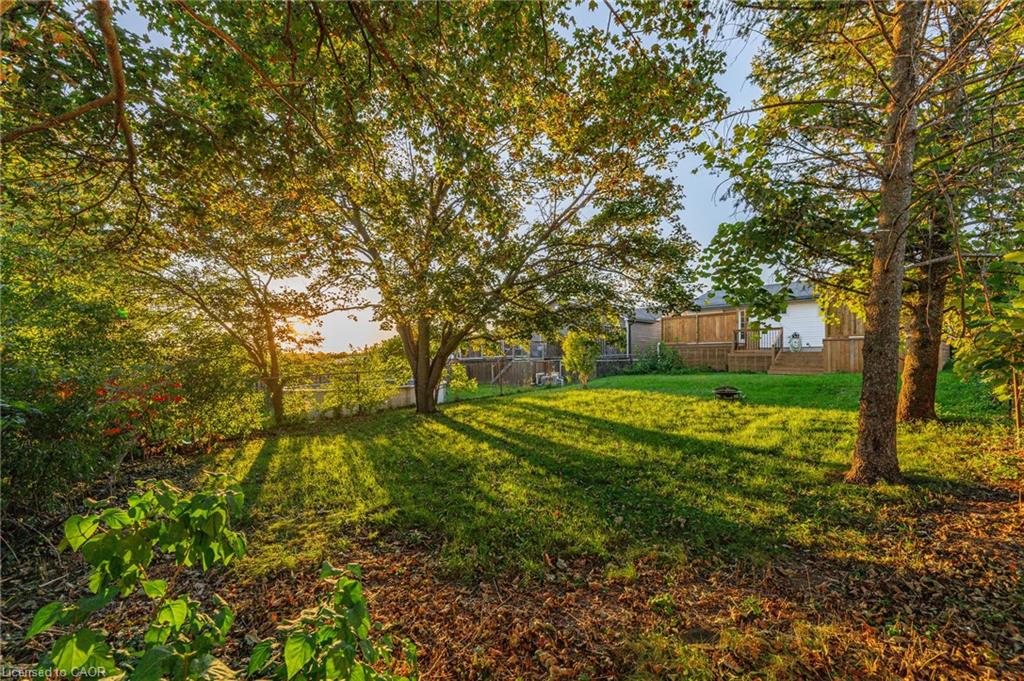 Expansive backyard featuring a manicured lawn, mature trees, and a privacy fence