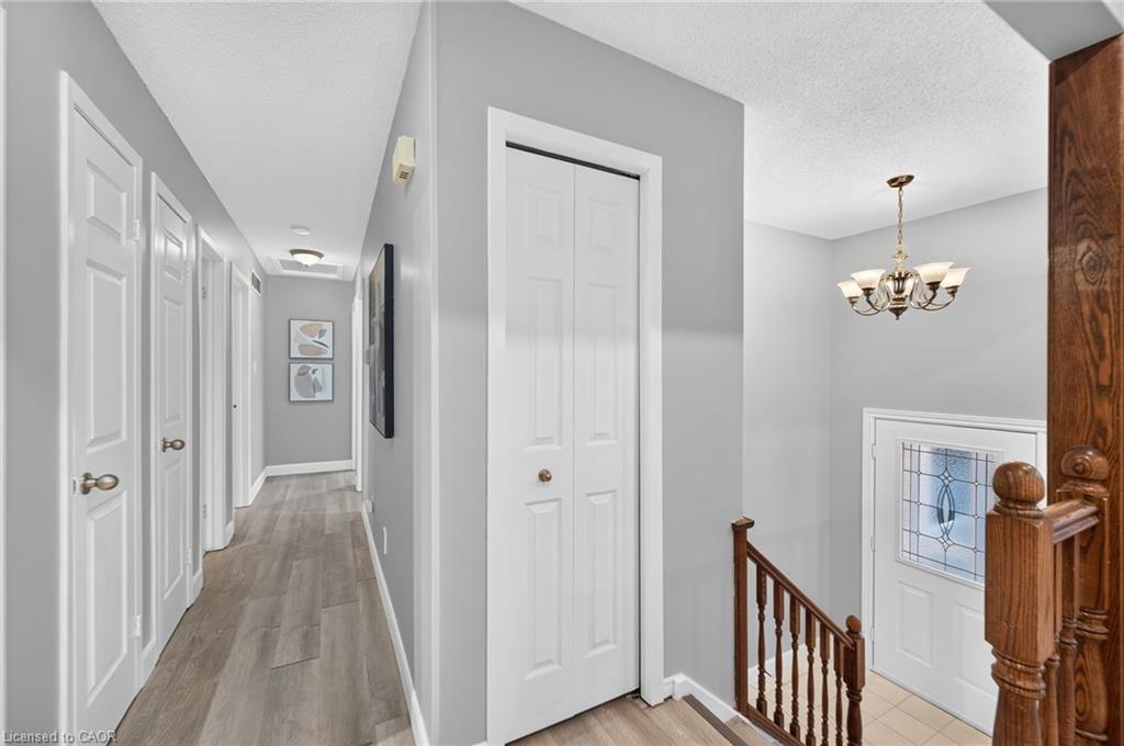 Wood-finish flooring, paneled interior doors, and a chandelier with frosted glass shades