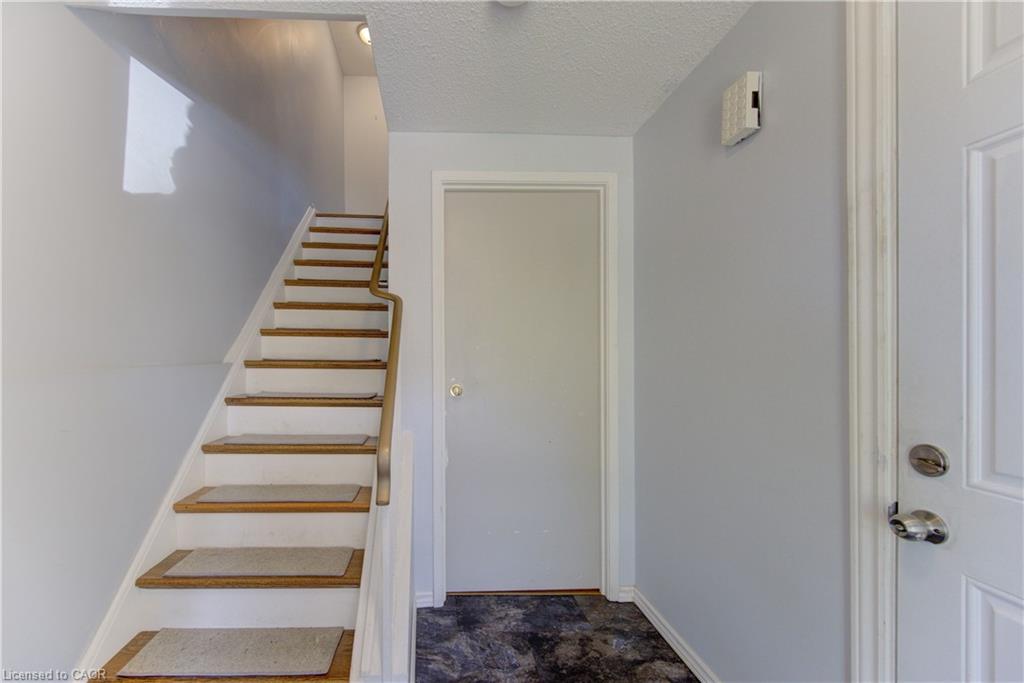 Staircase featuring wood-finish treads with carpet inserts, white risers, and a light wood handrail