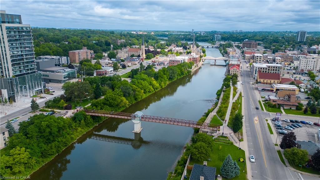 Riverfront urban setting with multiple bridges, mature trees, and diverse architectural styles