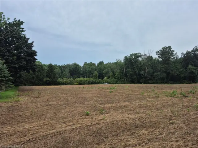 1 Seventh Concession Road, Burford ON N0E 1A0