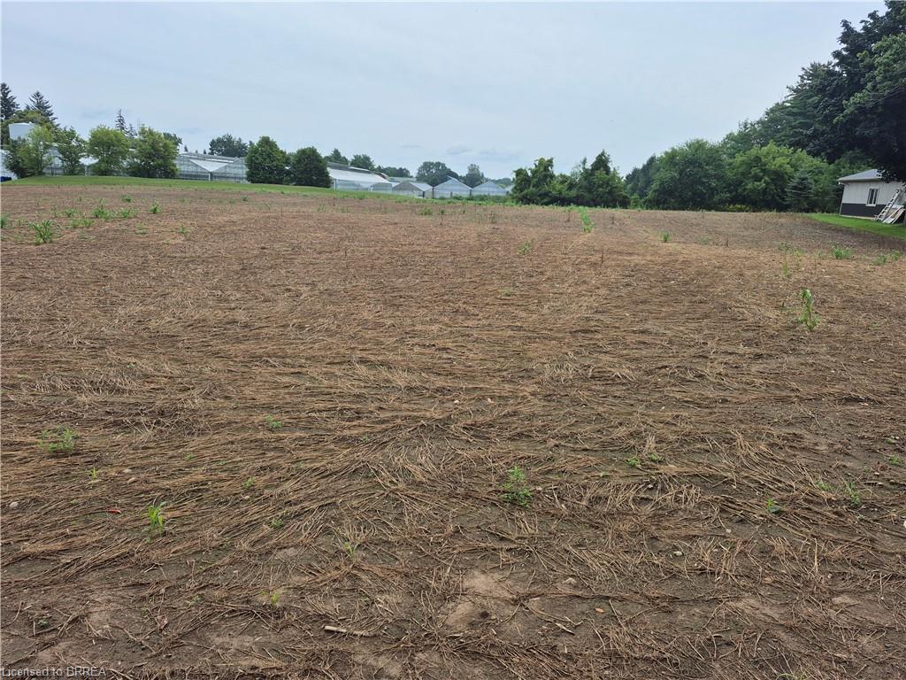 1 Seventh Concession Road, Burford ON N0E 1A0