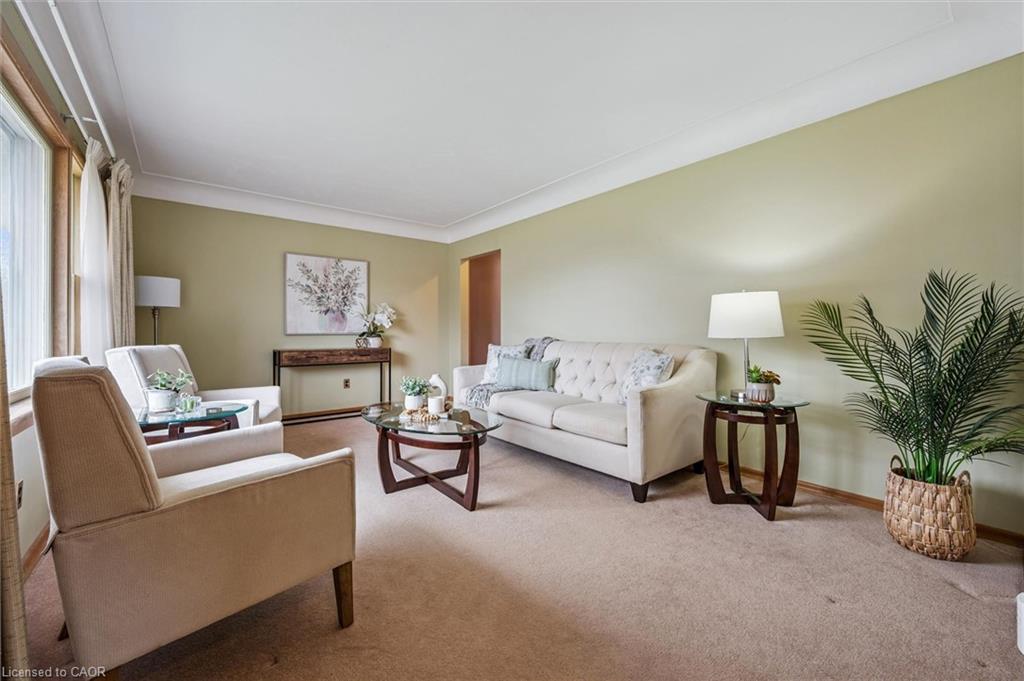 Living area with baseboards and carpet floors