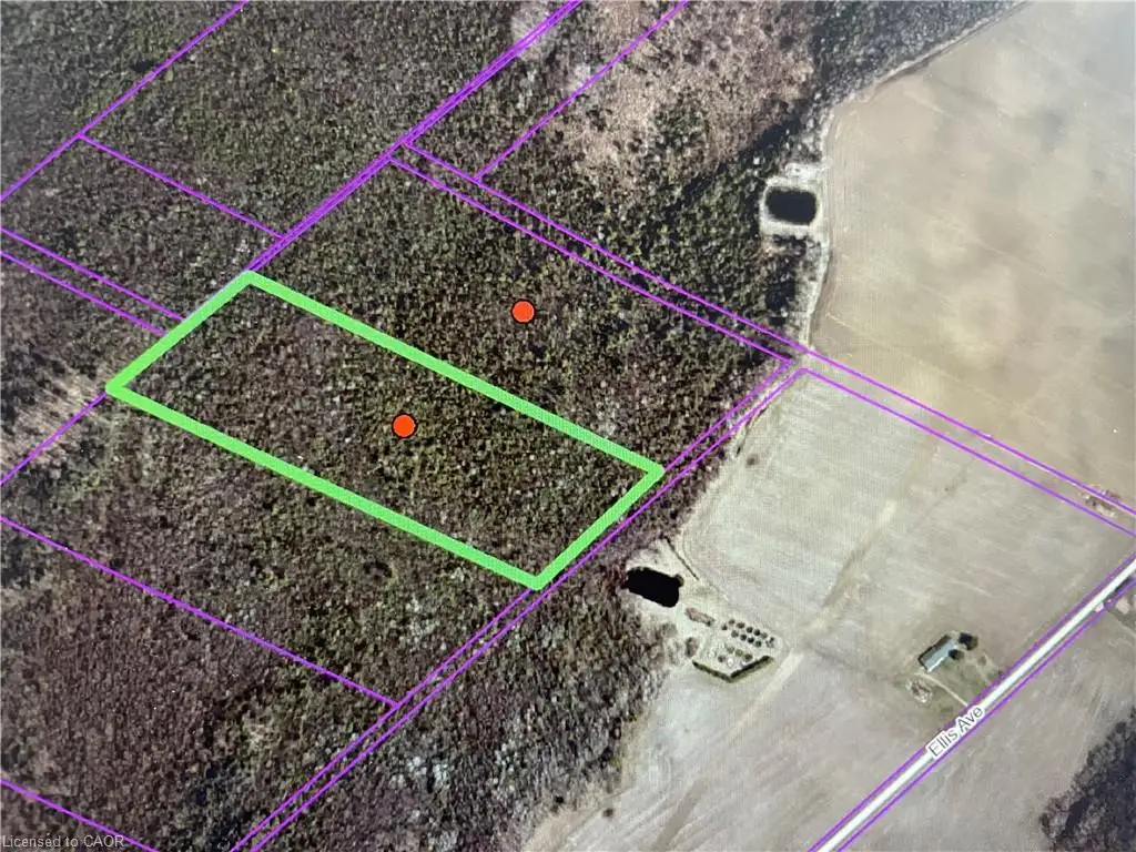 Map / location with property boundaries highlighted