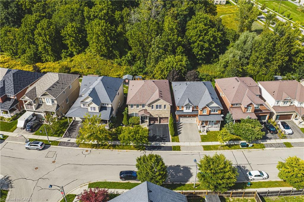 Residential street with multiple properties featuring mature tree landscaping