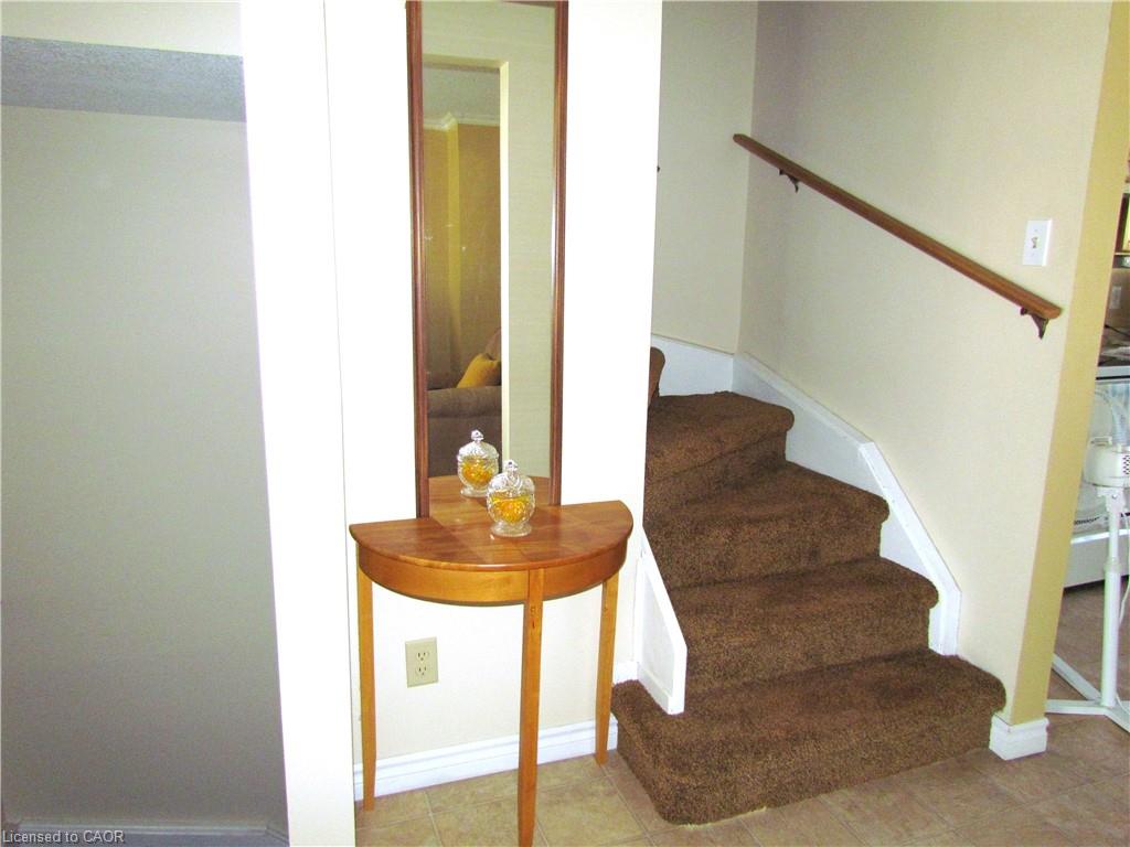 Brown carpeted staircase with a wood handrail