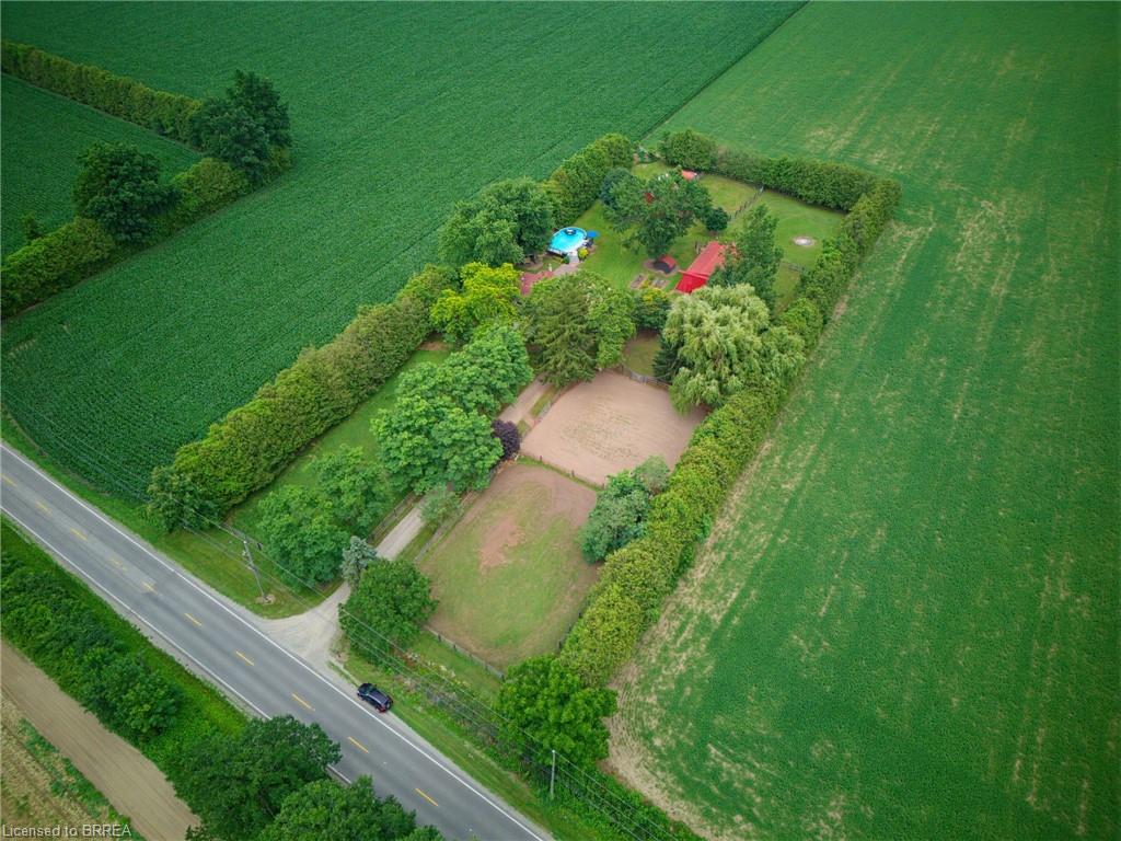 Expansive perimeter hedging enclosing a residential property with a private pool